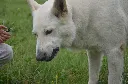 DSC_6849.webp