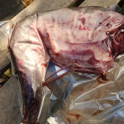 Langue ± 1,2 kg
