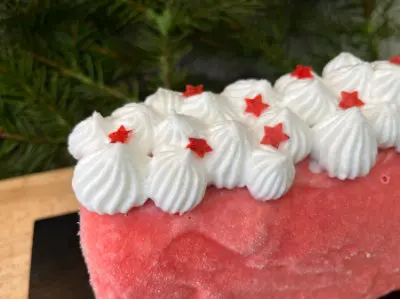 Bûche glacée Fraise - Rhubarbe